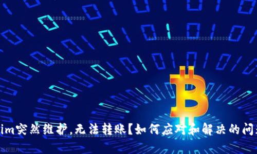 Tokenim突然维护，无法转账？如何应对和解决的问题解析