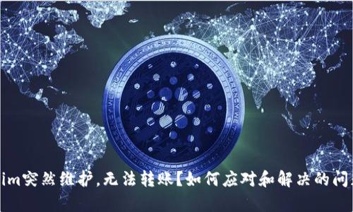 Tokenim突然维护，无法转账？如何应对和解决的问题解析
