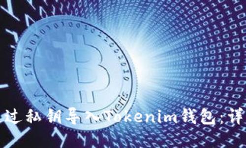 如何通过私钥导入Tokenim钱包：详细指南