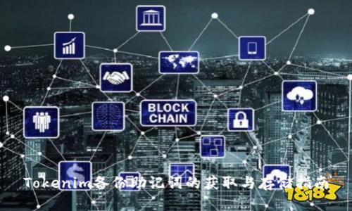 Tokenim备份助记词的获取与存储指南