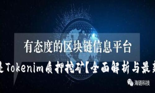 什么是Tokenim质押挖矿？全面解析与最新趋势