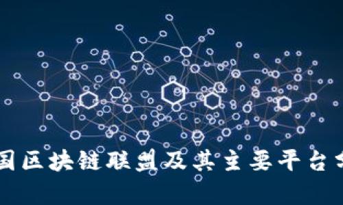 中国区块链联盟及其主要平台分析