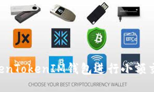 如何使用TokenTokenIM钱包进行小额交易：详细指南