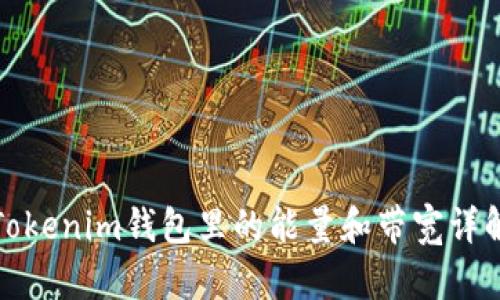Tokenim钱包里的能量和带宽详解