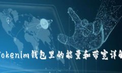 Tokenim钱包里的能量和带宽