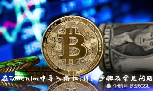 如何在Tokenim中导入路径：详细步骤及常见问题解析