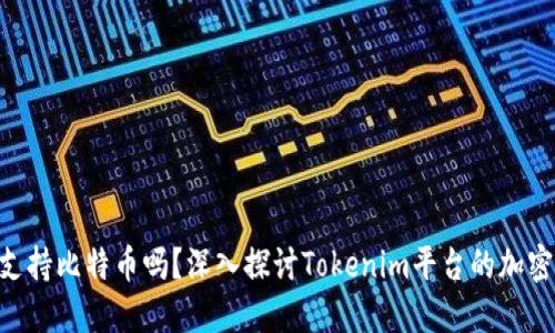 Tokenim支持比特币吗？深入探讨Tokenim平台的加密货币支持