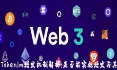     Tokenim增发机制解析：是