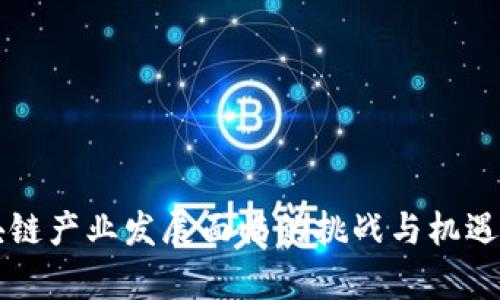 区块链产业发展面临的挑战与机遇分析