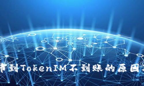 Vtoken提币到TokenIM不到账的原因及解决方案