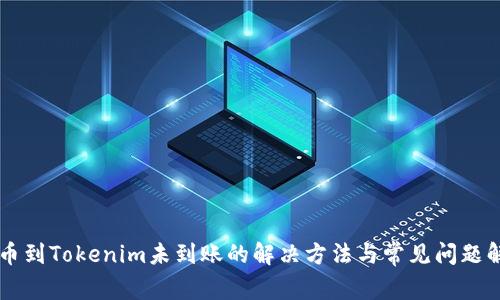 转币到Tokenim未到账的解决方法与常见问题解析