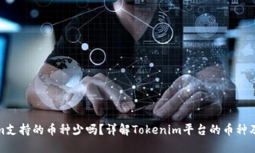 Tokenim支持的币种少吗？详解Tokenim平台的币种及其优势