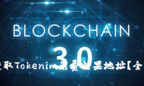 如何获取Tokenim免费糖果地址？全面指南