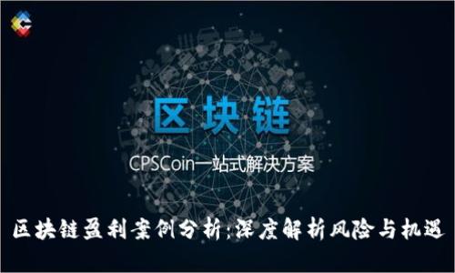 区块链盈利案例分析：深度解析风险与机遇