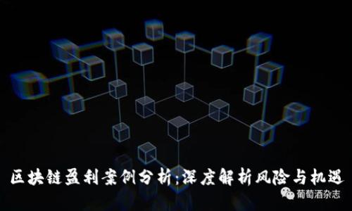 区块链盈利案例分析：深度解析风险与机遇