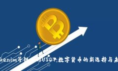 初探Tokenim子链上的USDT：数