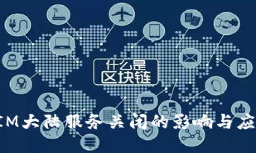 TokenIM大陆服务关闭的影响与应对策略