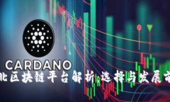 河北区块链平台解析：选