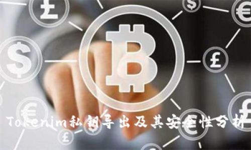 Tokenim私钥导出及其安全性分析