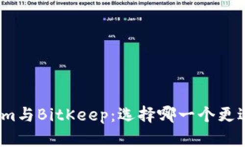 Tokenim与BitKeep：选择哪一个更适合你？