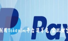 如何利用Tokenim平台薅羊毛