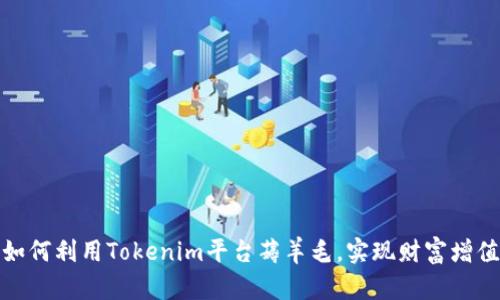 如何利用Tokenim平台薅羊毛，实现财富增值