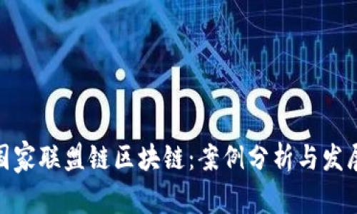 探索国家联盟链区块链：案例分析与发展现状