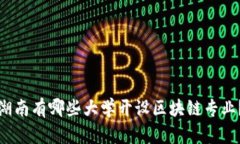 湖南有哪些大学开设区块