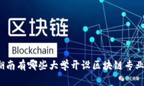 湖南有哪些大学开设区块链专业？