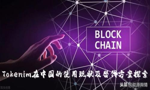 Tokenim在中国的使用现状及替代方案探索
