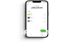 Tokenim上链费用详解：如何