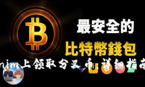 如何在Tokenim上领取分叉币：详细指南与实用技巧