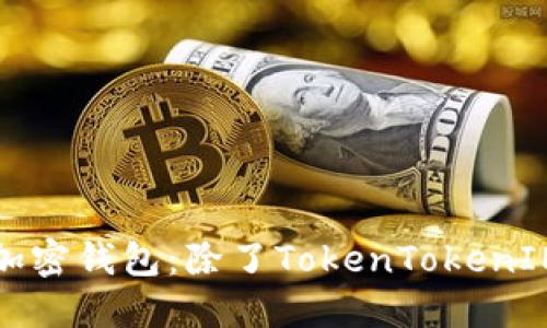 如何选择合适的加密钱包：除了TokenTokenIM钱包的选择指南