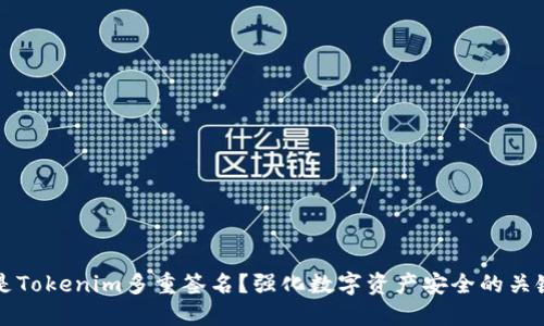 什么是Tokenim多重签名？强化数字资产安全的关键技术