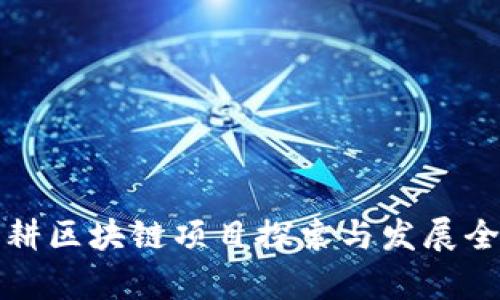 海南深耕区块链项目探索与发展全景解析