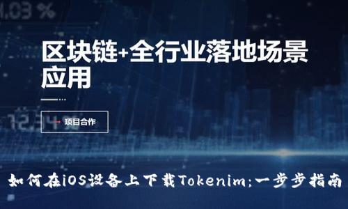 如何在iOS设备上下载Tokenim：一步步指南