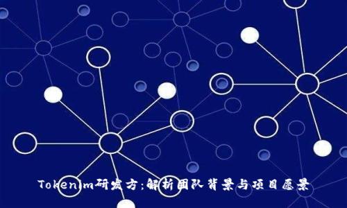 Tokenim研发方：解析团队背景与项目愿景