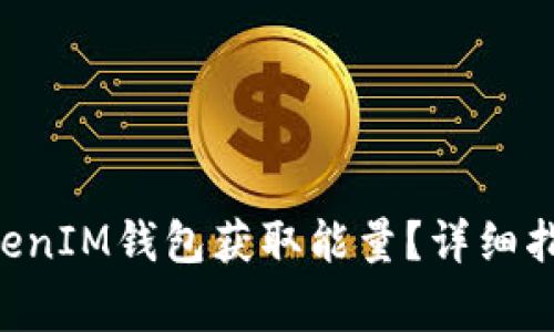 如何通过TokenTokenIM钱包获取能量？详细指南与常见问题解答