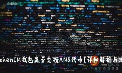 TokenTokenIM钱包是否支持ANS代币？详细解析与使用指南
