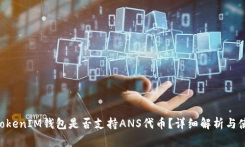 TokenTokenIM钱包是否支持ANS代币？详细解析与使用指南