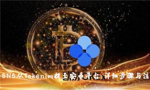 如何将BNB从Tokenim提至安币平台：详细步骤与注意事项