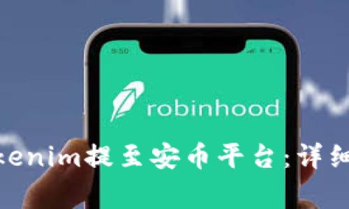 如何将BNB从Tokenim提至安币平台：详细步骤与注意事项