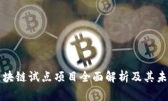 国家区块链试点项目全面