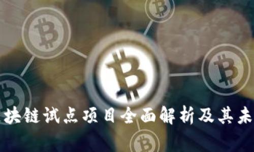 国家区块链试点项目全面解析及其未来发展