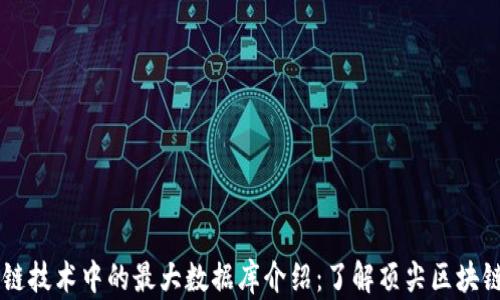 
区块链技术中的最大数据库介绍：了解顶尖区块链平台