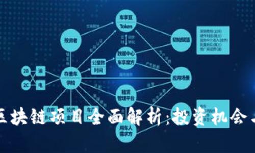 先锋外汇区块链项目全面解析：投资机会与市场动态