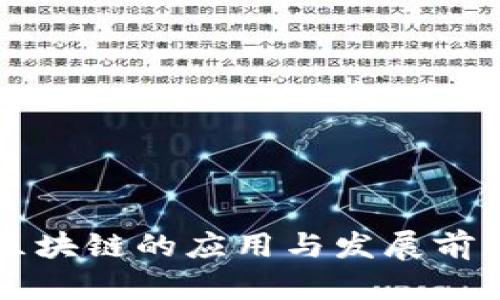 启迪区块链的应用与发展前景详解