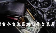 全面解析当今主流区块链