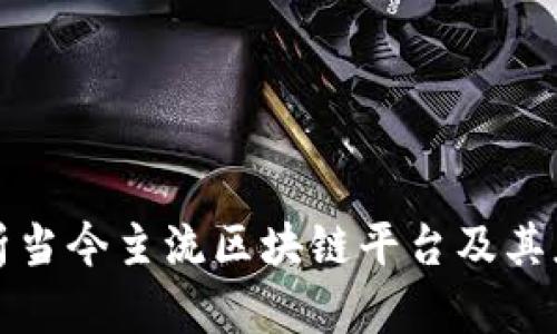 全面解析当今主流区块链平台及其应用场景