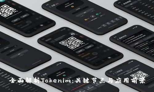全面解析Tokenim：关键节点与应用前景